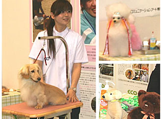 動物系専門学校のブース