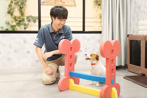 日本動物専門学校