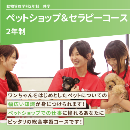ペットショップ& セラピーコース（2年制）