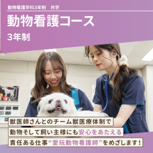 動物看護コース（3年制）