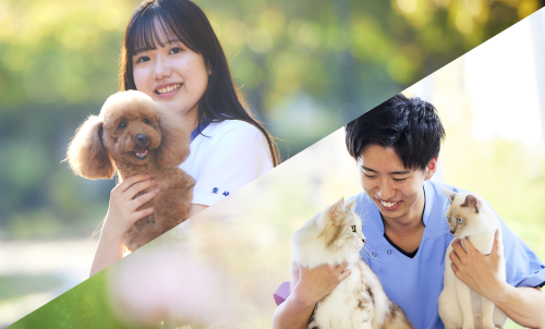 専門学校ちば愛犬動物フラワー学園