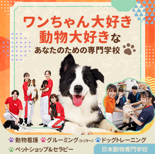 日本動物専門学校