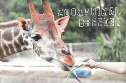 動物園飼育員専攻