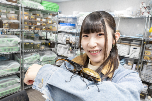 インセクトブリーダー・昆虫専攻