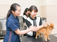 昼間部