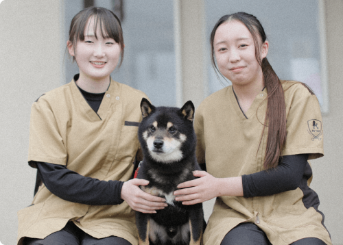 群馬トリマー専門学院101GROOMINGSCHOOL