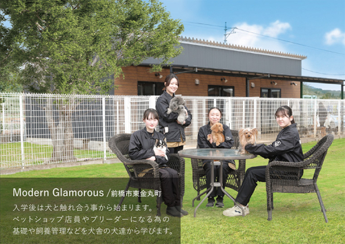 Modern Glamorous