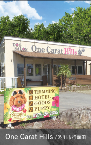 One Carat Hills