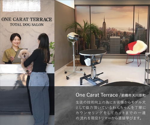 One Carat Terrace