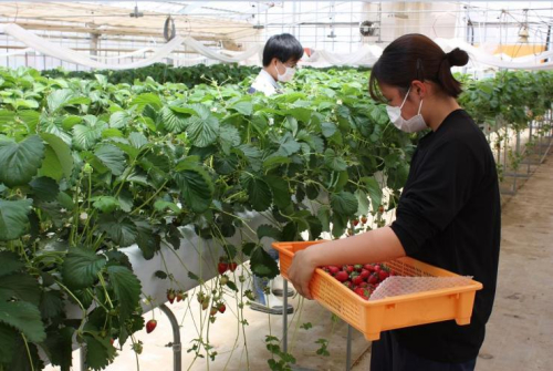 埼玉県農業大学校
