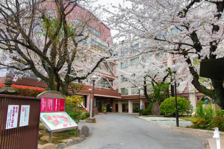 日本栄養大学短期大学部(2026年4月より女子栄養大学短期大学部から名称変更) 