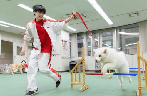 ドッグトレーニングコース