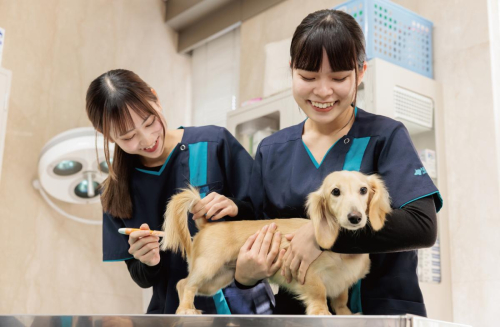 動物看護コース