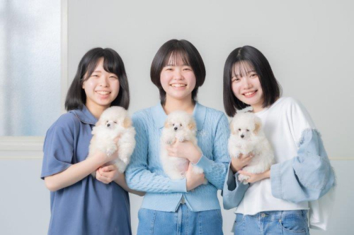学校見学