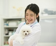 動物看護科