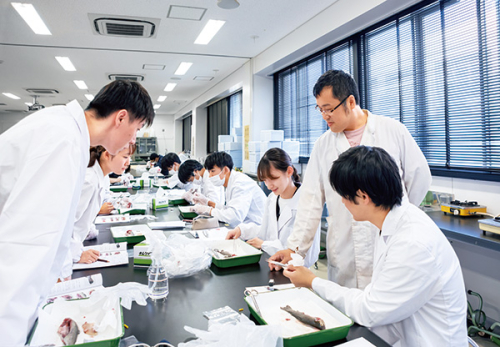 地球圏科学科