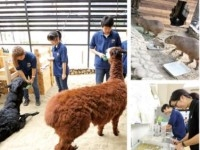 大阪ECO動物園