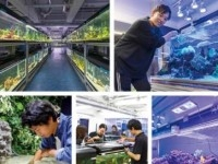 大阪ECO水族館