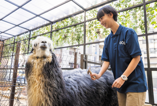 動物園・動物飼育専攻（3年制）（設置計画予定）