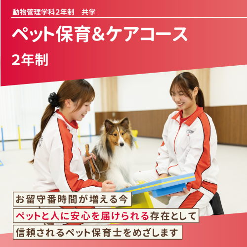 ペット保育& ケアコース（2年制）