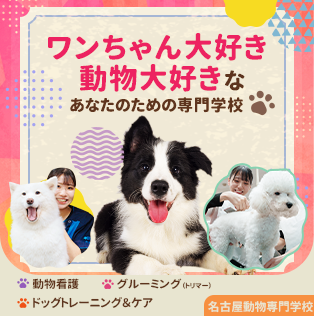 名古屋動物専門学校