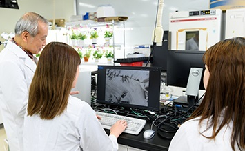 生命科学科
