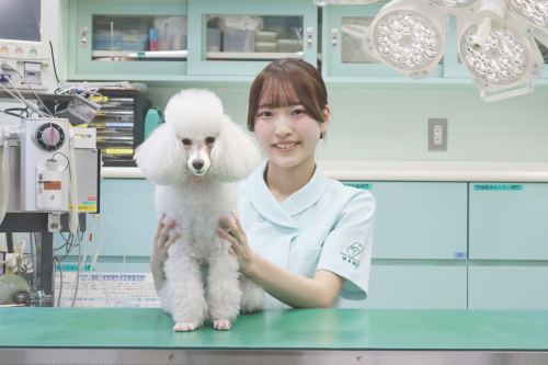 Nさん
