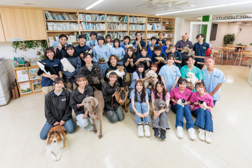 名古屋ECO動物海洋専門学校