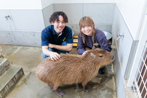 動物園・動物飼育専攻