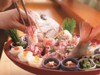 和食・日本料理専攻※2025年4月開設
