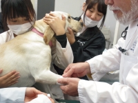 愛玩動物看護学科1年カリキュラム