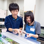 平日個別相談会