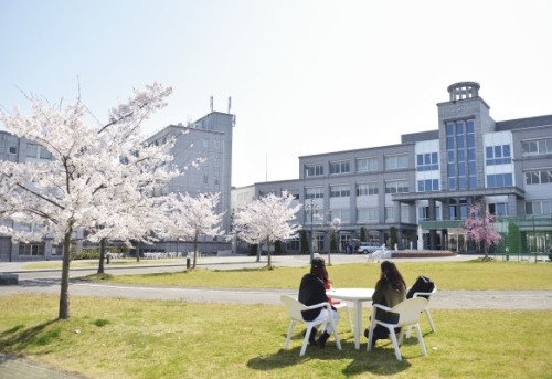 東北文化学園大学