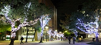 第2部経営学科（夜間）