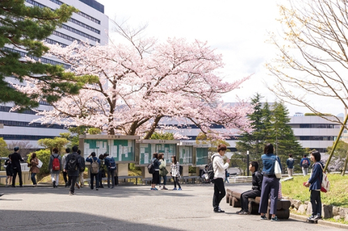 福岡大学