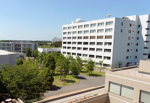 東京情報大学