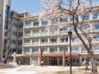 大阪成蹊短期大学