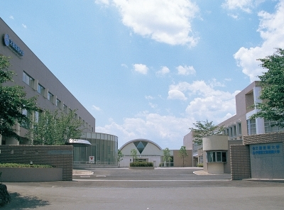 文星芸術大学