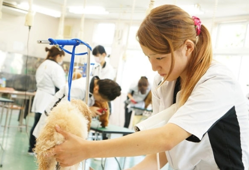 つくば国際ペット専門学校