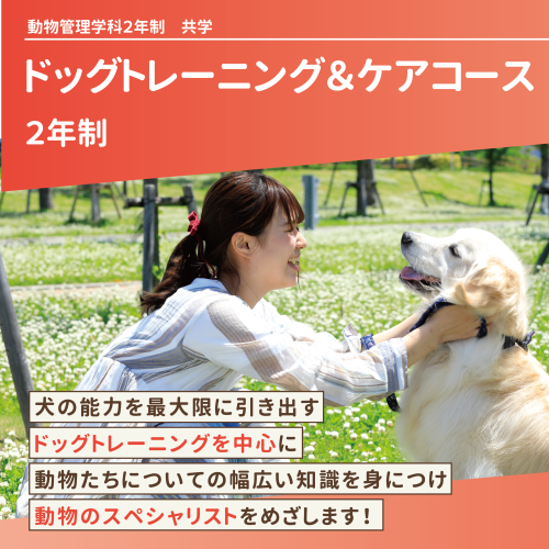 ドッグトレーニング&ケアコース(2年制)