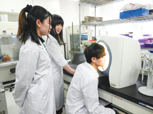 薬科学科（4年制）
