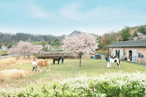 帝京科学大学見出し4
