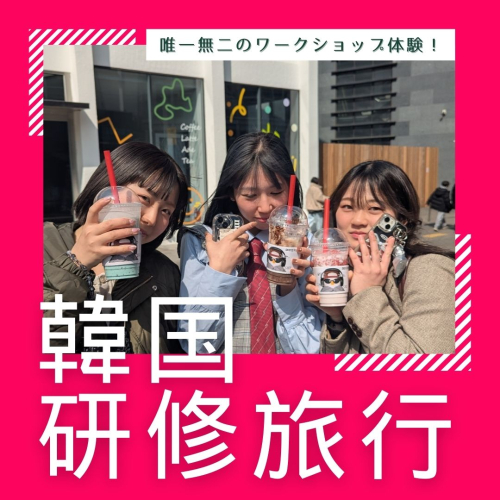 韓国研修旅行