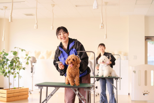 ペット総合科(２年制課程・３年制課程)　トリマーコース・トレーナーコース・キャットグルーマーコース
