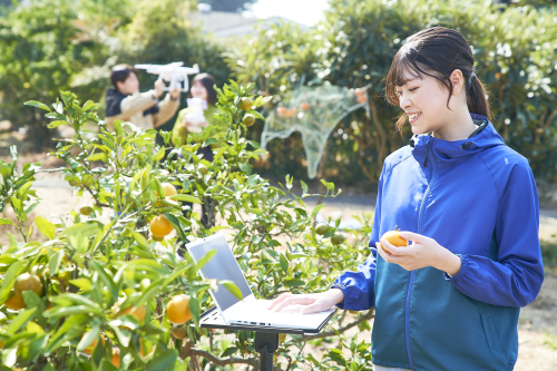 フィールド自然学科(2025年4月開設)