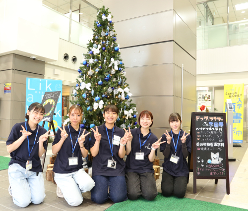 DOG EXPO 先生