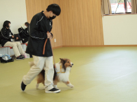 愛知ペット専門学校