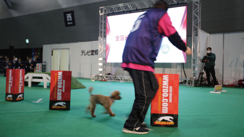 ドッグトレーナー科2年カリキュラム