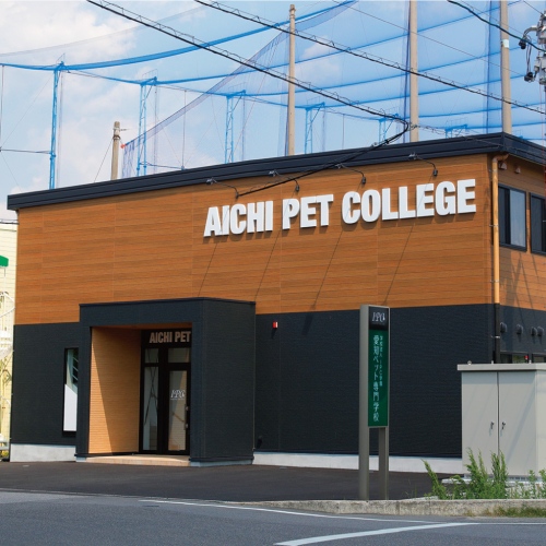 自宅学習中心で専門学校卒業