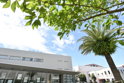 湘南工科大学
